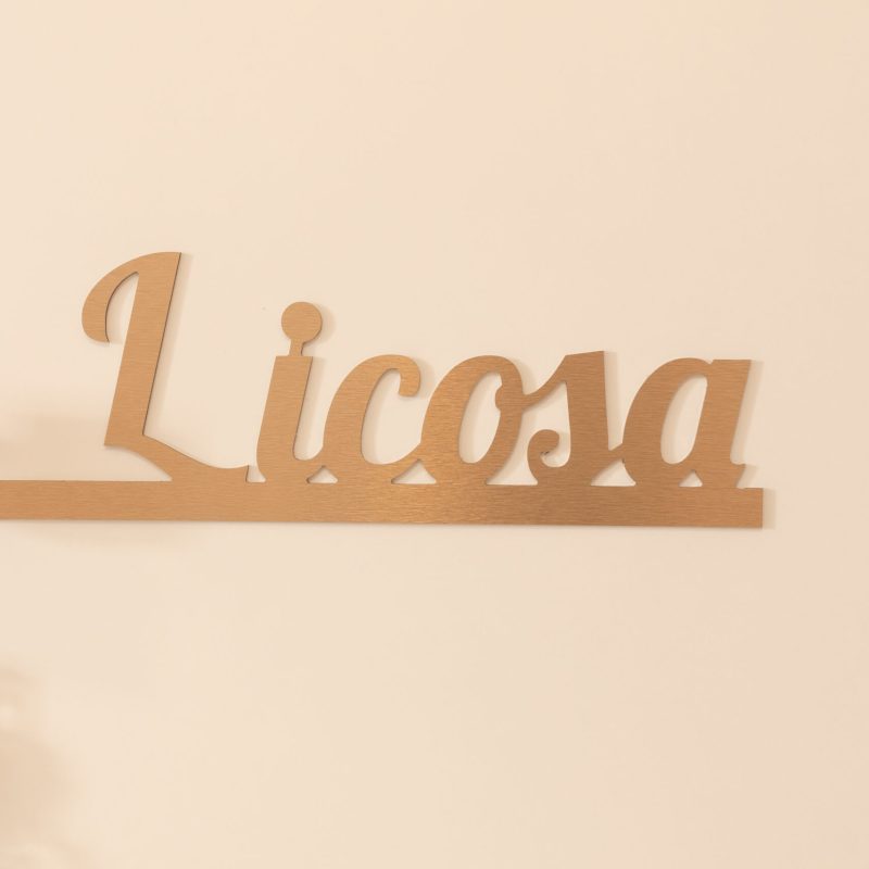 Licosa (2)